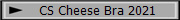 CS Cheese Bra 2021