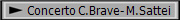 Concerto C.Brave- M.Sattei