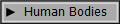 Human Bodies