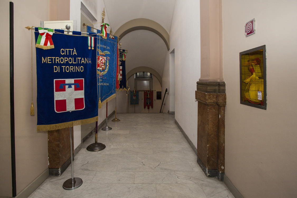 _MG_6560.jpg