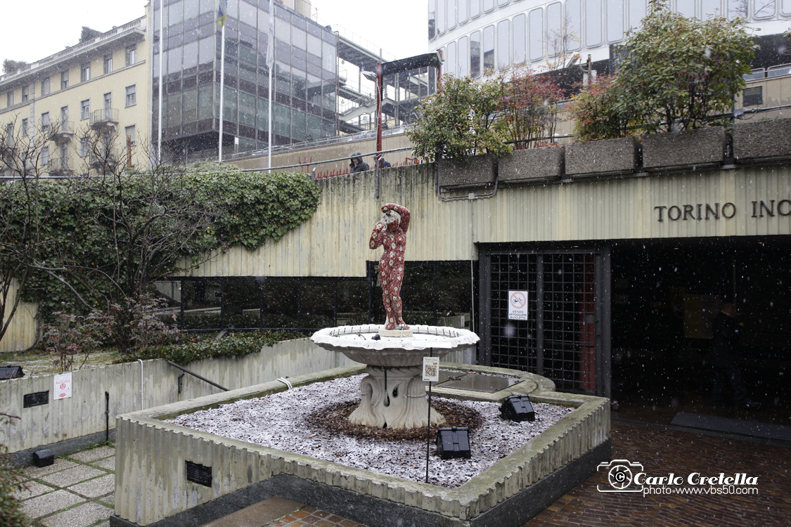 _MG_1598.jpg