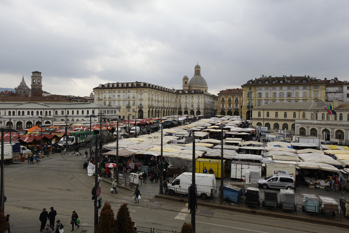 _MG_2519.jpg
