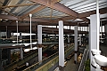 _MG_2531