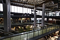 _MG_2649