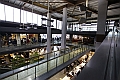 _MG_2650
