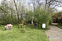 MesserTulipano_003
