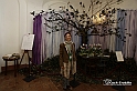 MesserTulipano_023