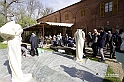 MesserTulipano_027