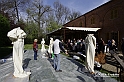 MesserTulipano_028