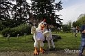 MesserTulipano_029