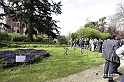 MesserTulipano_031