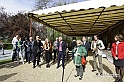 MesserTulipano_037