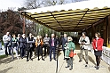 MesserTulipano_049