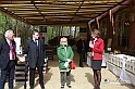 MesserTulipano_089