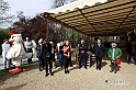 MesserTulipano_107