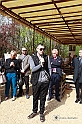 MesserTulipano_123