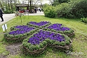 MesserTulipano_169