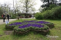 MesserTulipano_170