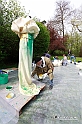 MesserTulipano_172