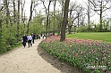 MesserTulipano_208