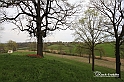 MesserTulipano_210
