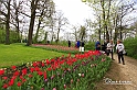 MesserTulipano_213