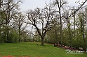 MesserTulipano_227
