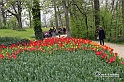 MesserTulipano_229