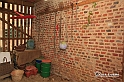 MesserTulipano_243