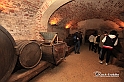 MesserTulipano_250