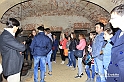MesserTulipano_253