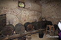 MesserTulipano_258