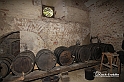 MesserTulipano_259