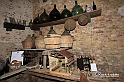 MesserTulipano_260