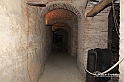 MesserTulipano_262