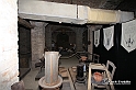 MesserTulipano_263