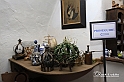 MesserTulipano_284