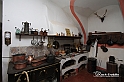 MesserTulipano_287