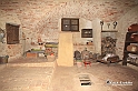MesserTulipano_304