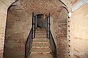 MesserTulipano_306