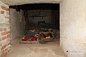 MesserTulipano_307