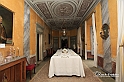 MesserTulipano_335