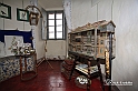 MesserTulipano_347
