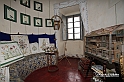 MesserTulipano_348