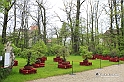 MesserTulipano_359