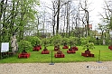 MesserTulipano_360