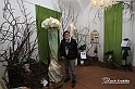 MesserTulipano_361