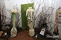 MesserTulipano_372