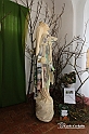 MesserTulipano_377