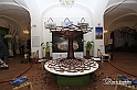 MesserTulipano_386